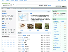 Tablet Screenshot of bk.zgycsc.com